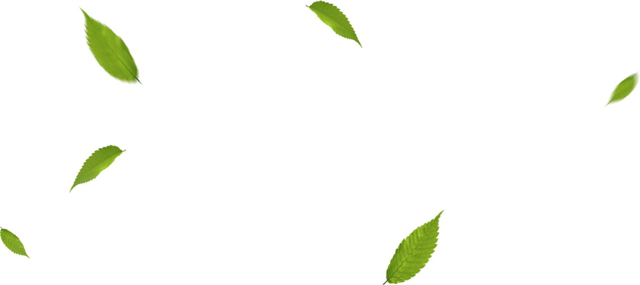 CÔNG TY TNHH JAPAN PACK SYSTEM VIỆT NAM